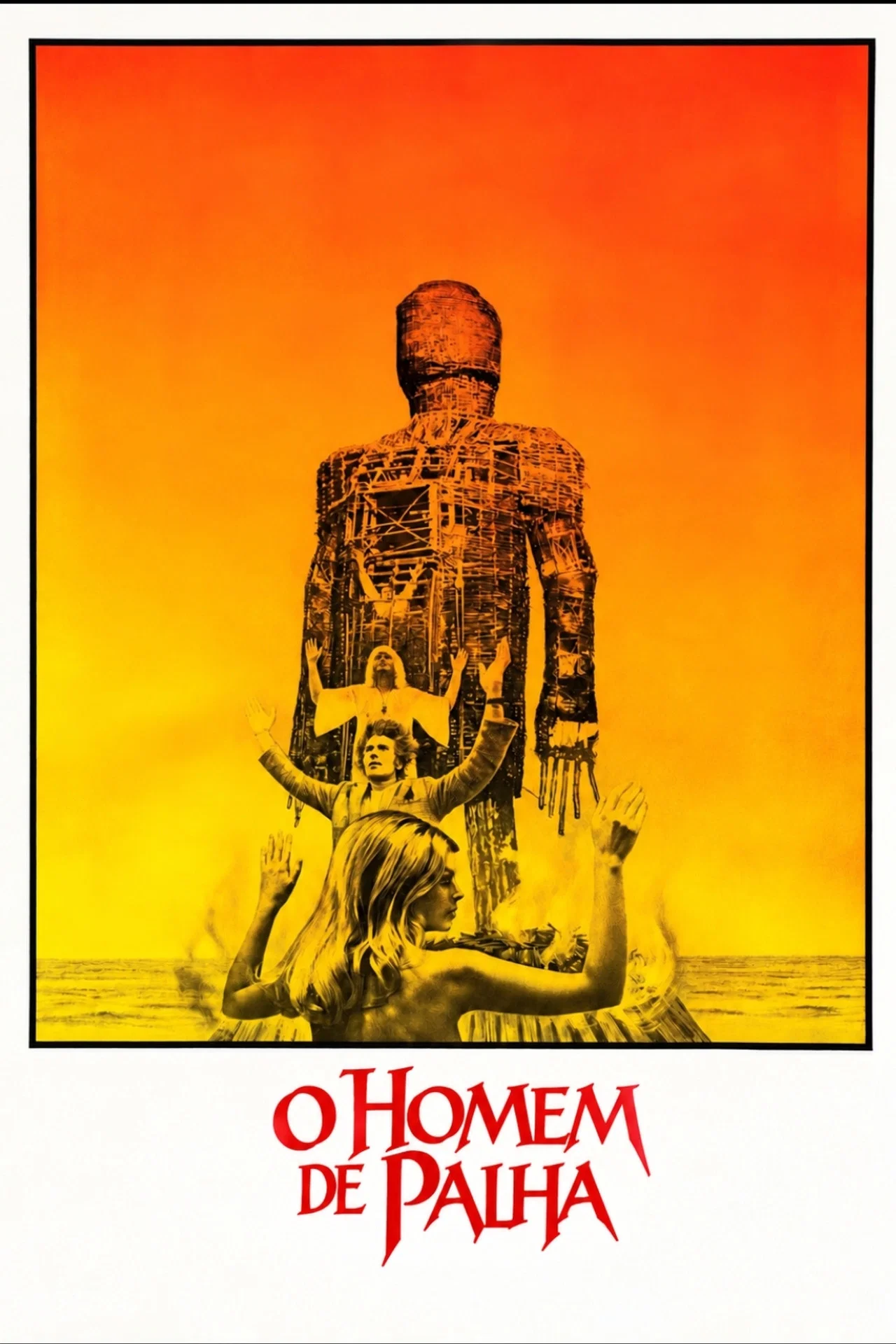 Poster filme Homem de Palha